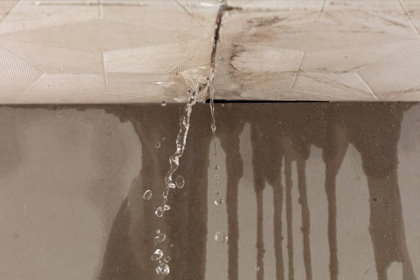 Professional Water Damage Restoration technician working in Cibolo, TX